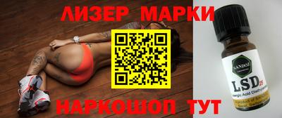 гидропоника Донской