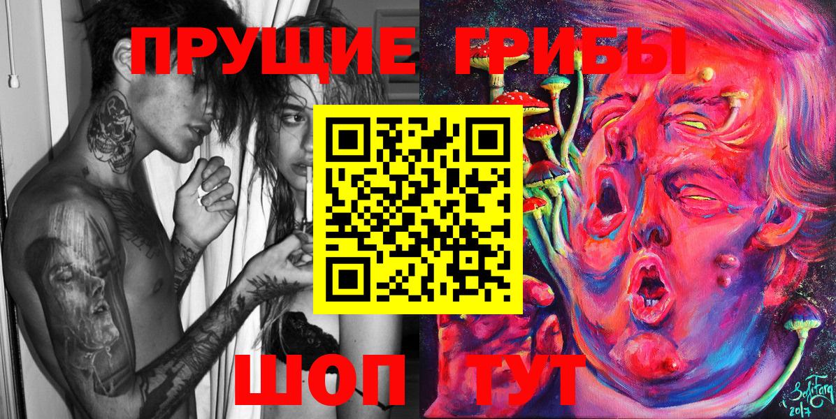 Псилоцибиновые грибы прущие грибы  Вход с VPN  Киселёвск  закладка  Галлюциногенные грибы Psilocybe 